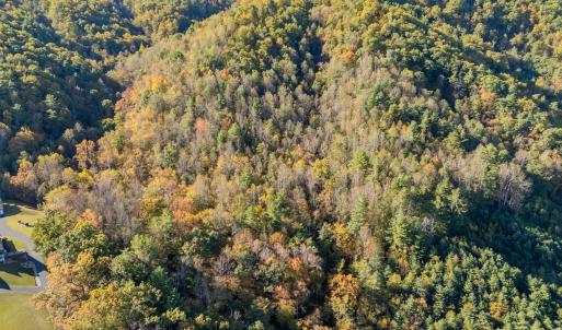 shawsville-37