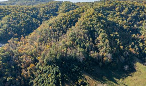 shawsville-40