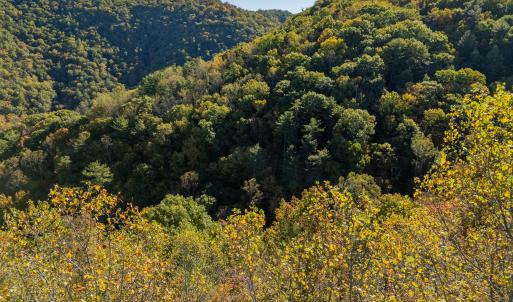 shawsville-50