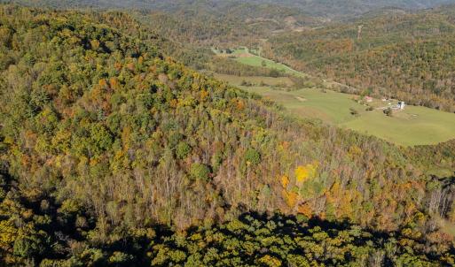 shawsville-54