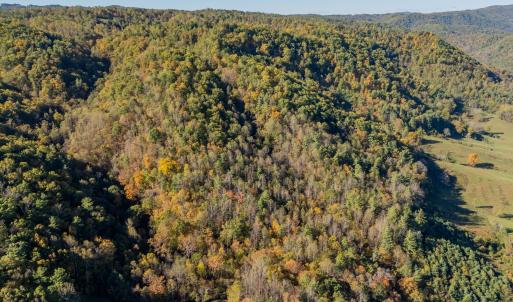 shawsville-58