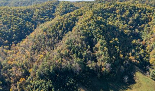 shawsville-61