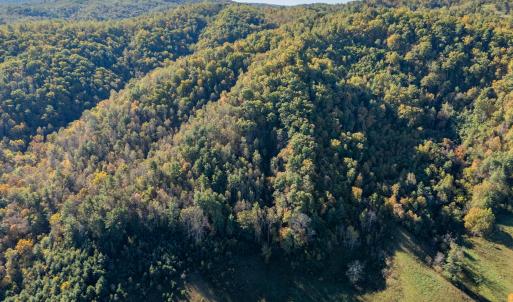 shawsville-62