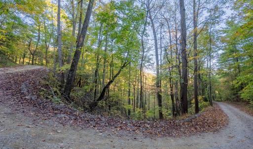 shawsville-1