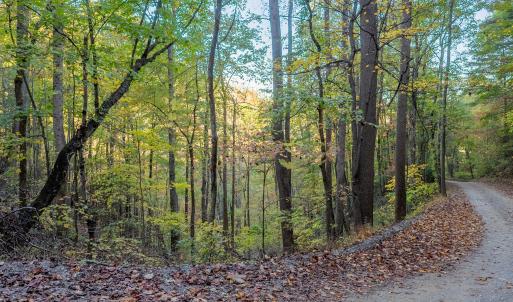 shawsville-2