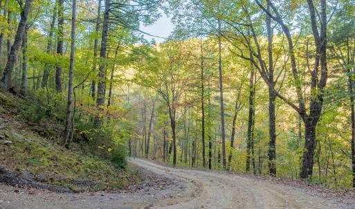 shawsville-3