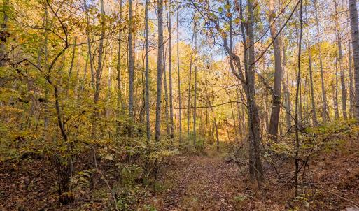 shawsville-8