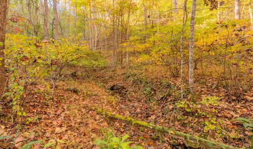 shawsville-9