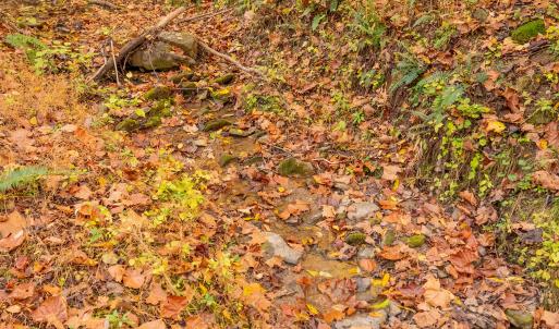 shawsville-11