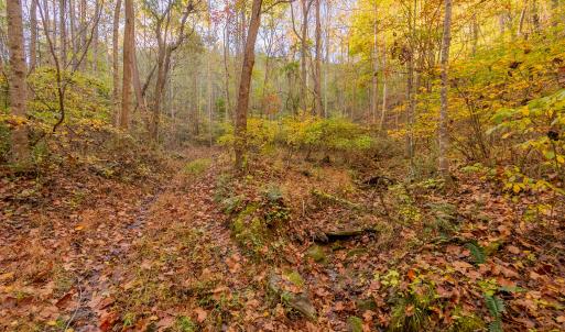 shawsville-13
