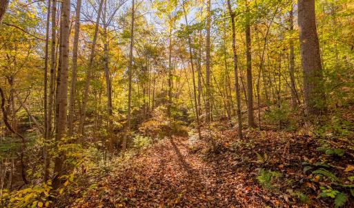 shawsville-15