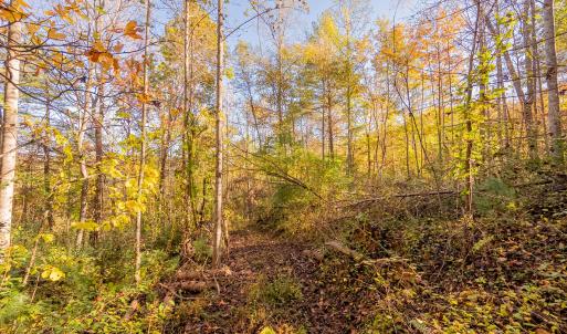 shawsville-16