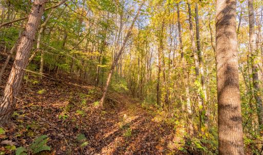 shawsville-17