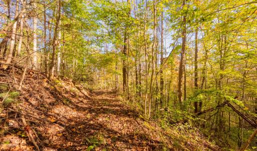 shawsville-18