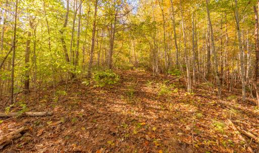 shawsville-20