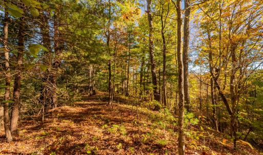 shawsville-30