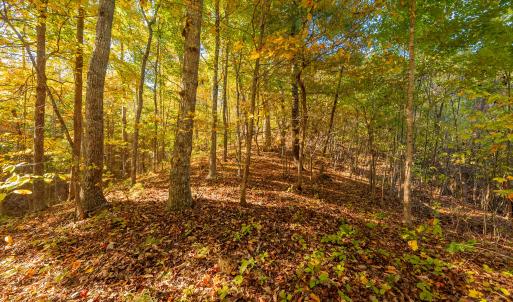 shawsville-31