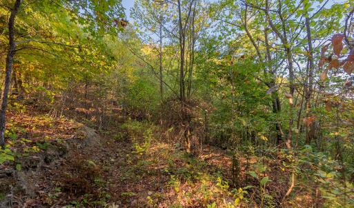 shawsville-33