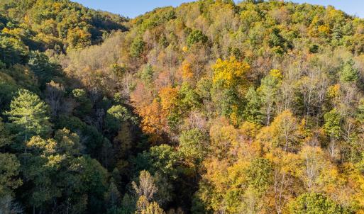 shawsville-35