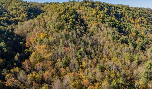shawsville-36