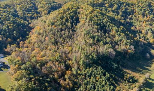 shawsville-38