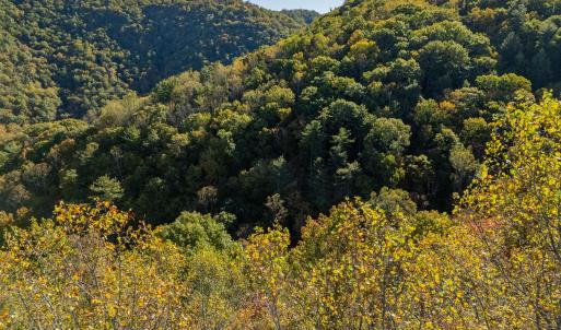 shawsville-50