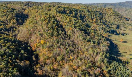 shawsville-58