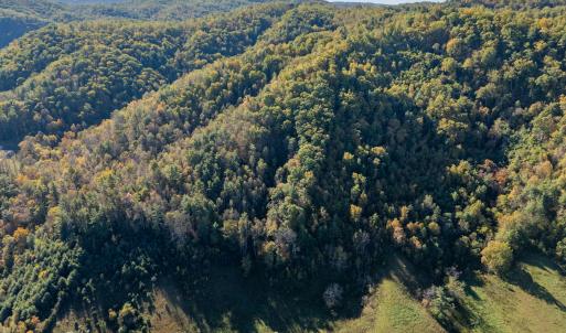 shawsville-63