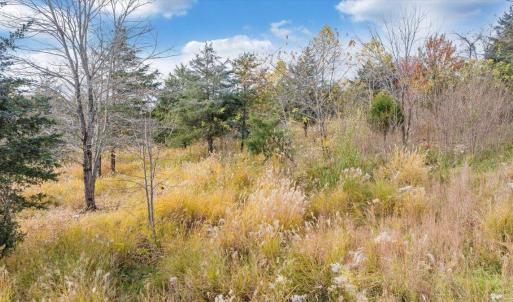 16-DJI_20251108002436_0019_D