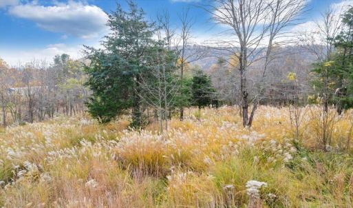 17-DJI_20251108002457_0020_D