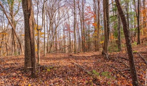 copper hill-6