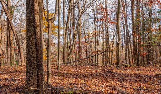 copper hill-7