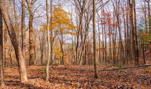 copper hill-8