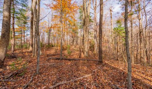 copper hill-9