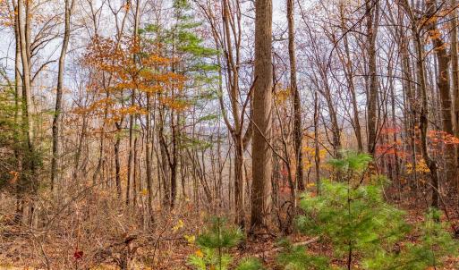 copper hill-10