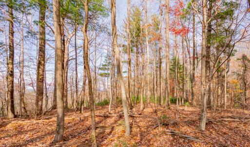 copper hill-11