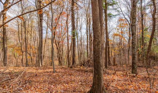 copper hill-12