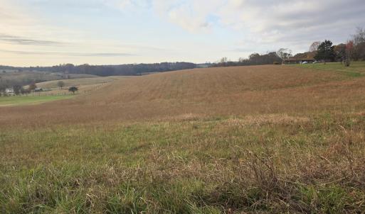 Welcome to Tract 1 Stewartsville Road