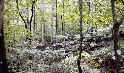 Lot 5 Reservoir View Wooded