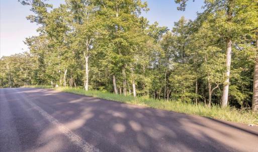 03-LOT 65 Ella Maria Ct_003