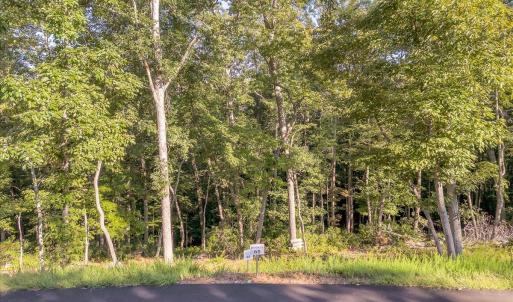 05-LOT 65 Ella Maria Ct_005