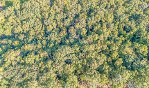 06-LOT 65 Ella Maria Ct_006