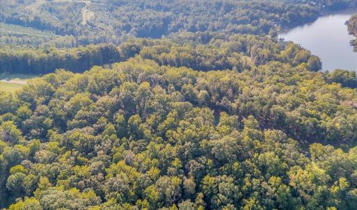 13-LOT 65 Ella Maria Ct_013