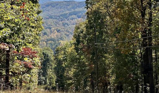 Mark webb powerline pic