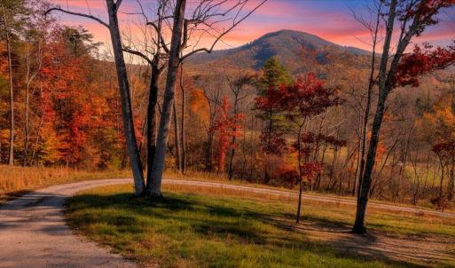 1-DJI_20251103153929_0047_DF