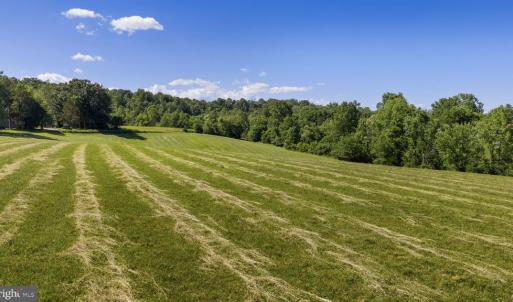 Photo #6 of GOODS LN, MADISON, VA 10.0 acres