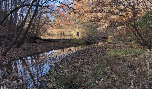 Base of Lot 47 towards the Lake