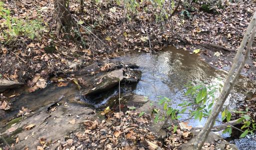 Creek frontage on Lot 46 and 47