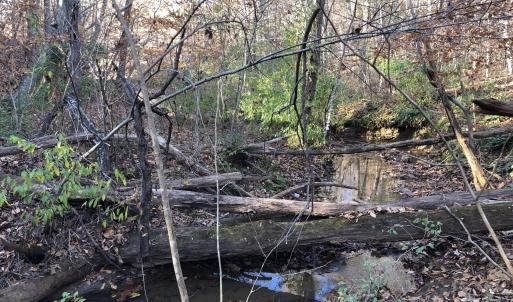 Creek frontage on Lots 46 and 47 -2