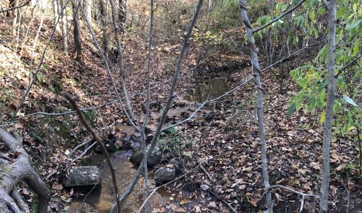 Creek frontage on Lots 46 and 47-3